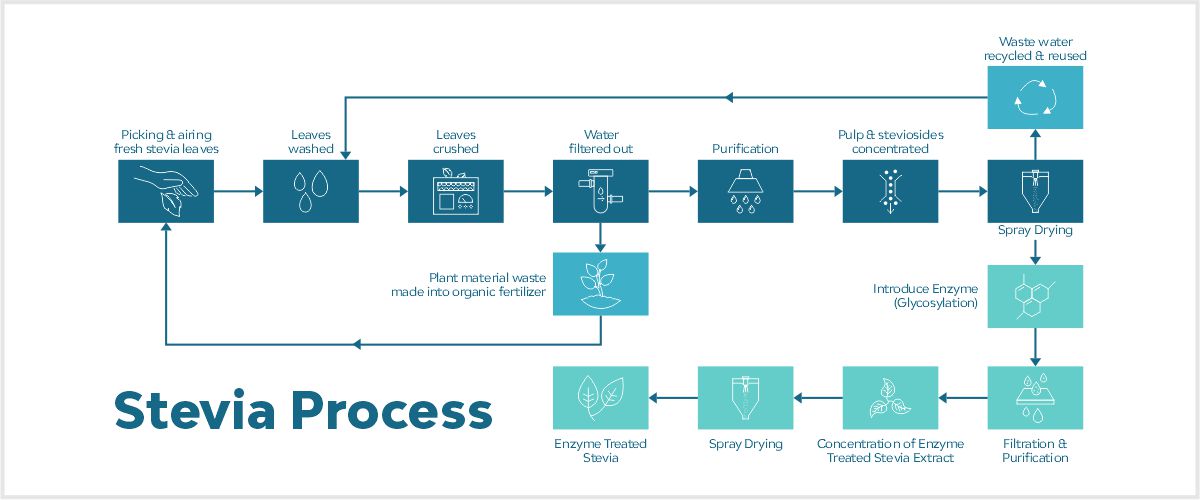 Stevia Manufacturing Process diagram version 2